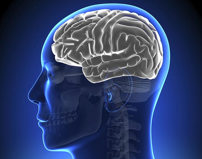 neurology-brain-disordersed323feaa4f163eda0bfff0b00ed1b39